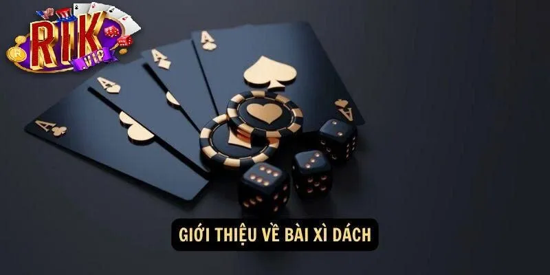 XÌ DÁCH RIKVip